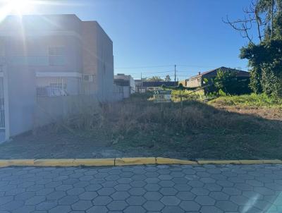 imagem-miniatura